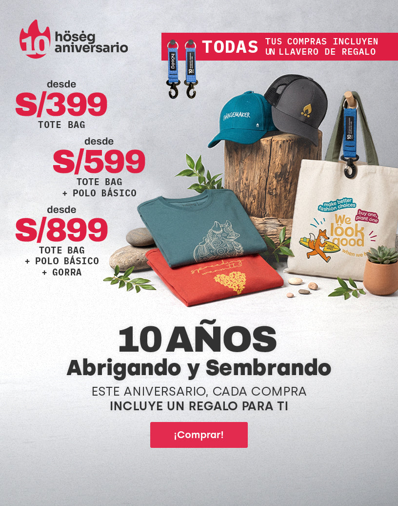 ANIVERSARIO 10 AÑOS banner mobile